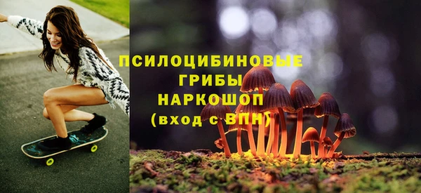 таблы Алексин