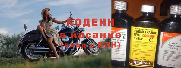 хмурый Алзамай
