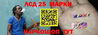 стаф Аргун