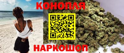 стаф Аргун