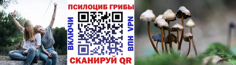 Галлюциногенные грибы GOLDEN TEACHER  KRAKEN ссылки  Белореченск 