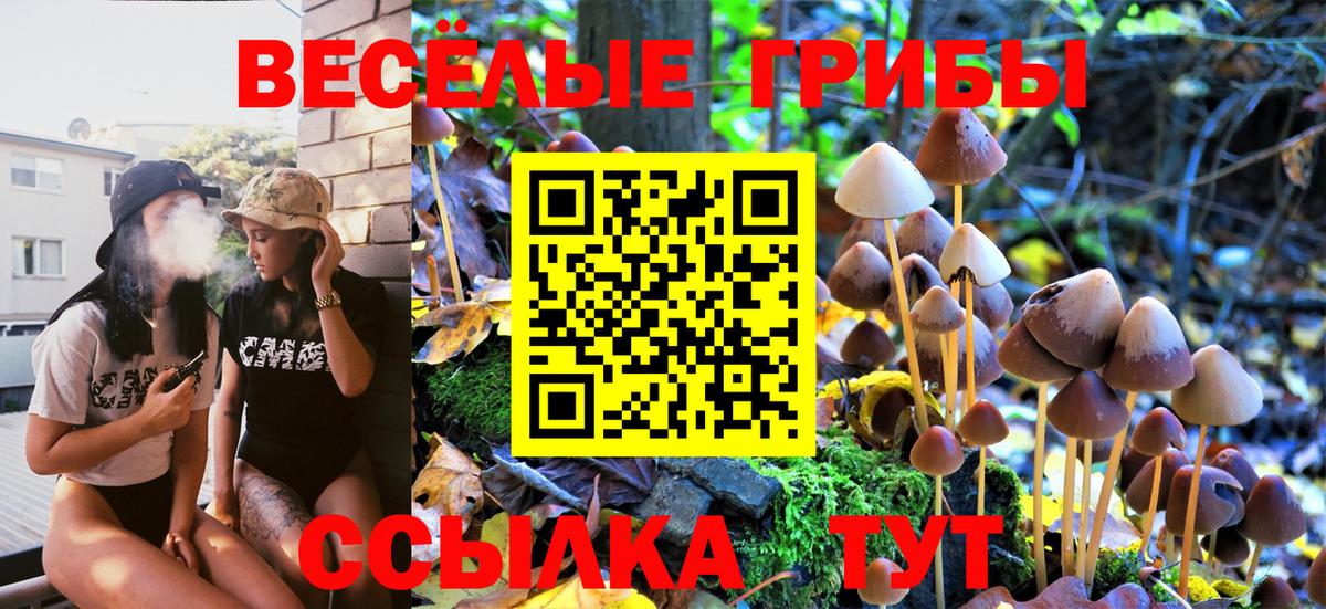 Галлюциногенные грибы ЛСД Белореченск